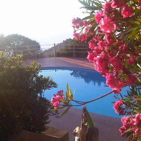Domus De Janas Villa Costa Paradiso Kültér fotó