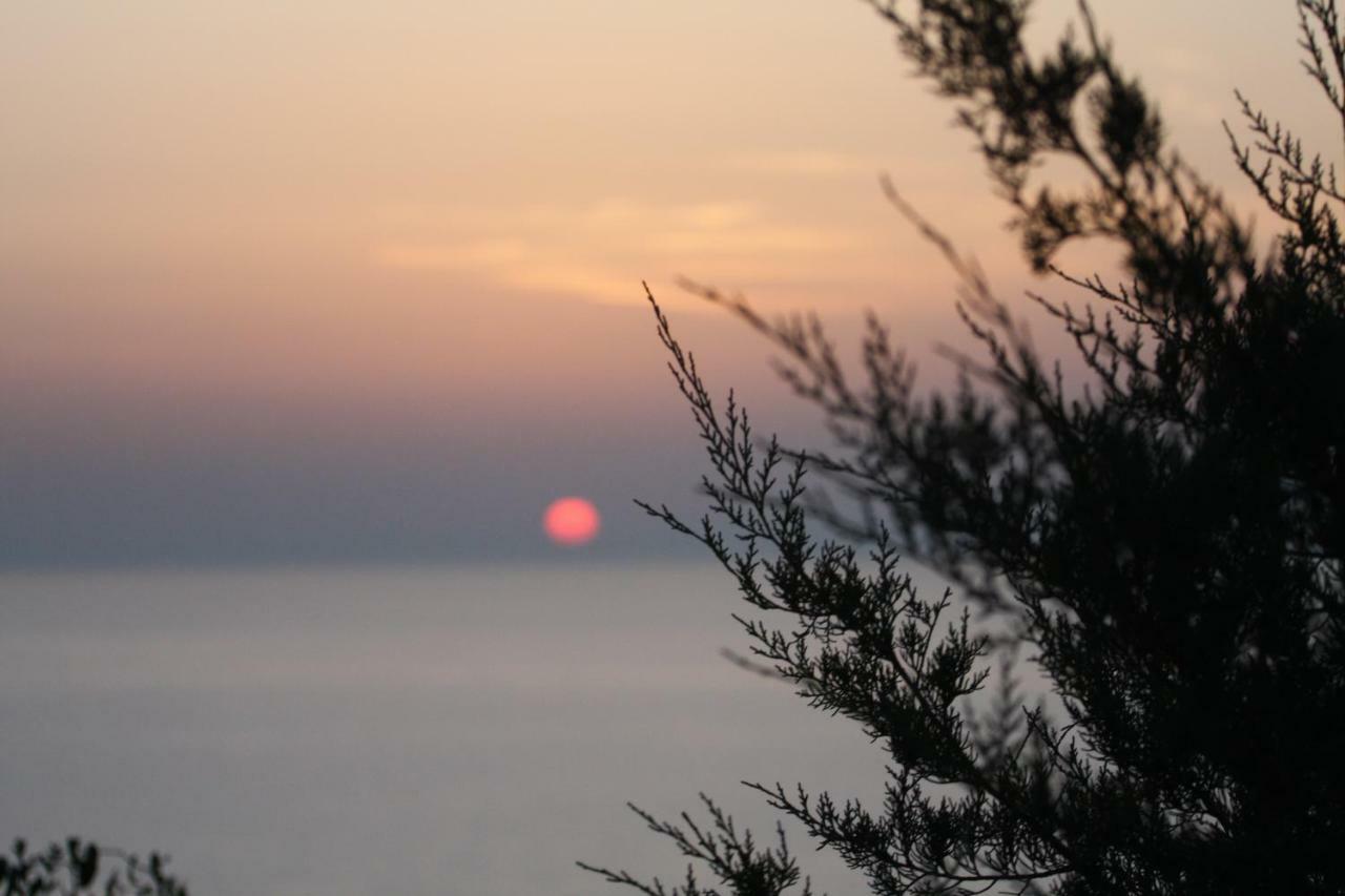Domus De Janas Villa Costa Paradiso Kültér fotó
